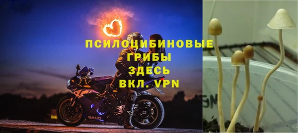 прущий лед Нягань