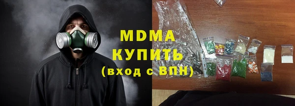 индика Гусев