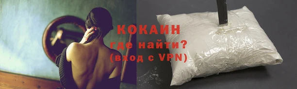 эйфоретик Новозыбков