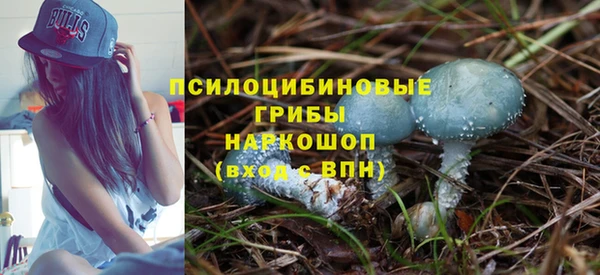 твердый Новокубанск