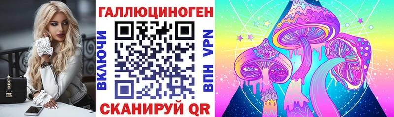 OMG как войти  Змеиногорск  Псилоцибиновые грибы GOLDEN TEACHER 